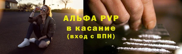 индика Липки